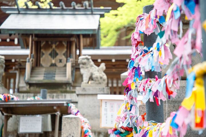 御朱印や授与品も素敵♪名古屋の総鎮守「若宮八幡社」は、緑豊かな都心のオアシス