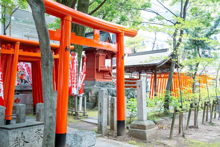 御朱印や授与品も素敵♪名古屋の総鎮守「若宮八幡社」は、緑豊かな都心のオアシス