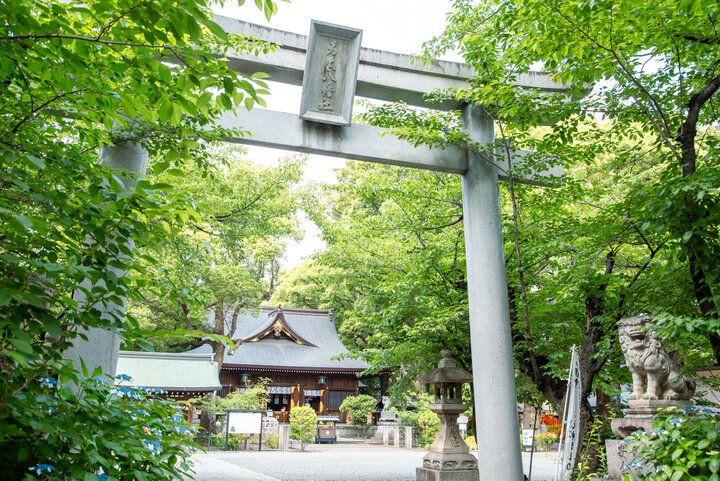 御朱印や授与品も素敵♪名古屋の総鎮守「若宮八幡社」は、緑豊かな都心のオアシス