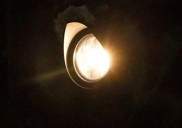 ダイソー ガーデンライト（挿すタイプ、スポットライト）