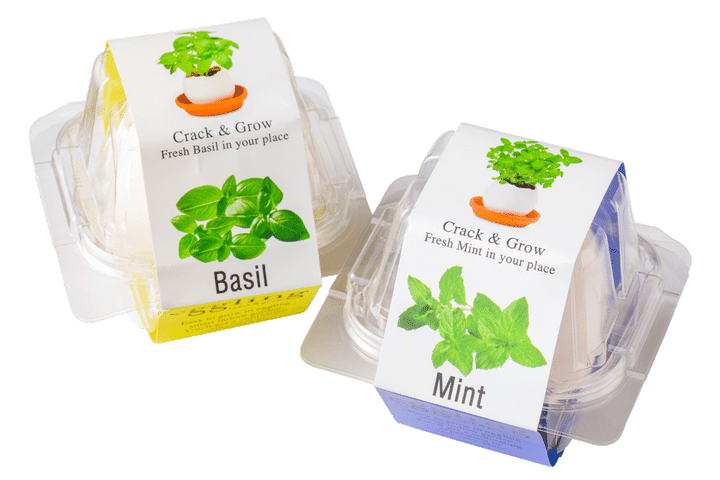 〈SEISHIN〉の栽培キット