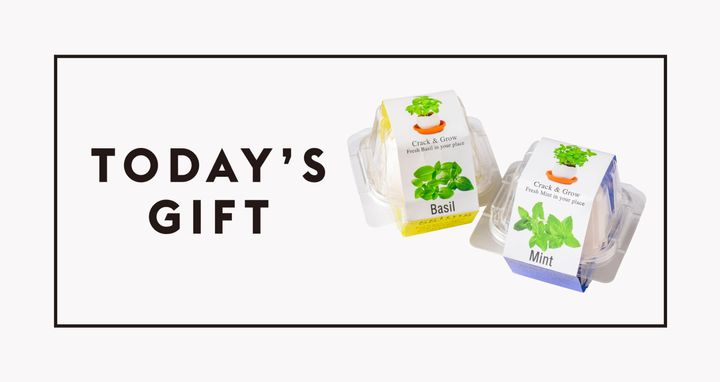 〈SEISHIN〉の栽培キット