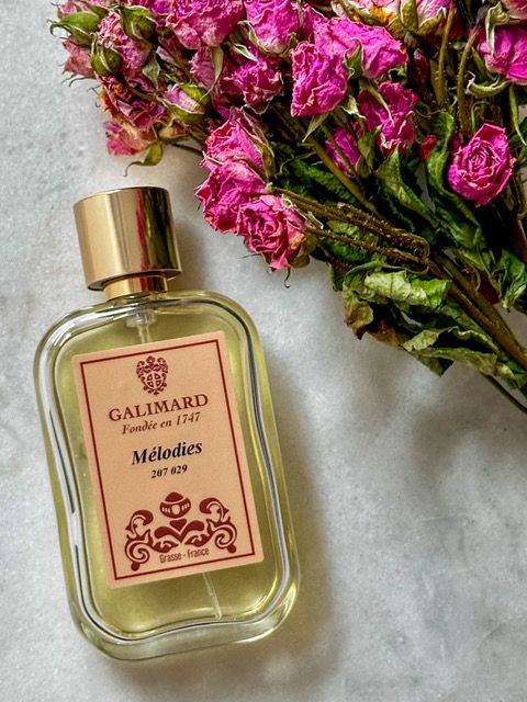 花薫る季節、南仏への旅【夢見るパリ】