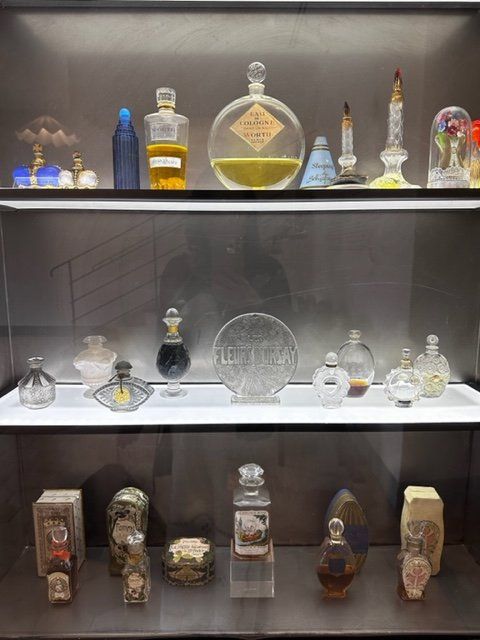 花薫る季節、南仏への旅【夢見るパリ】