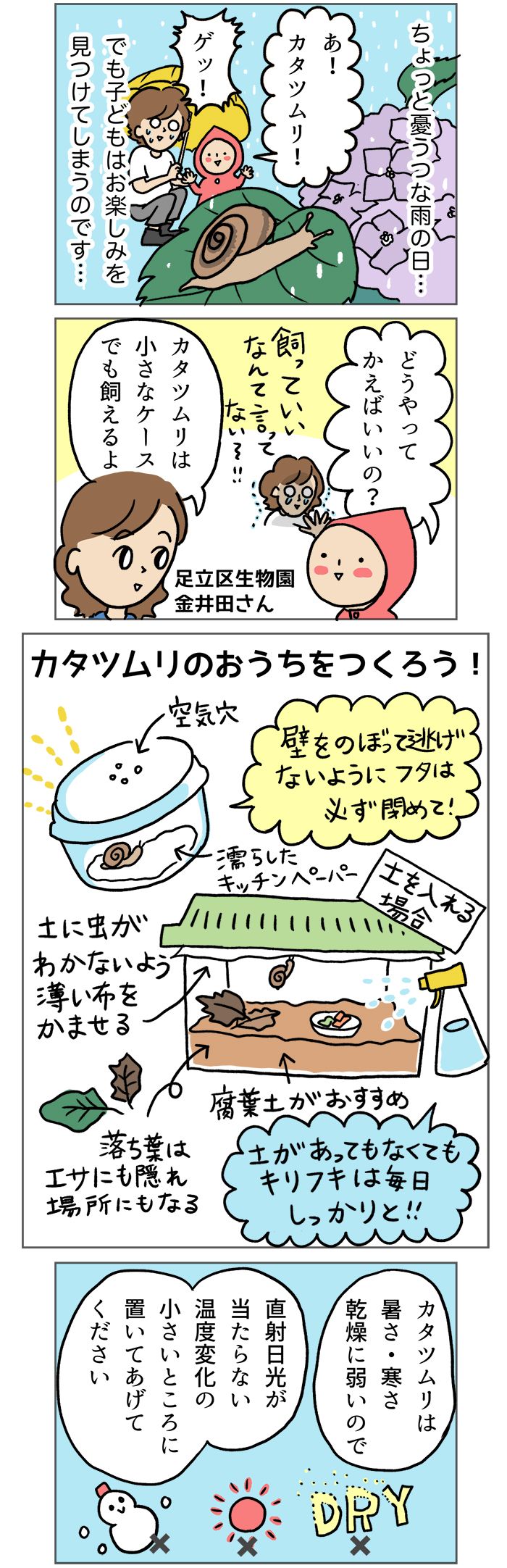 本音は「ゲッ！」だけど。「カタツムリ飼いたい！」という子どもの願いを叶えるには？【マンガでわかる！おっかなびっくり飼育】の画像1