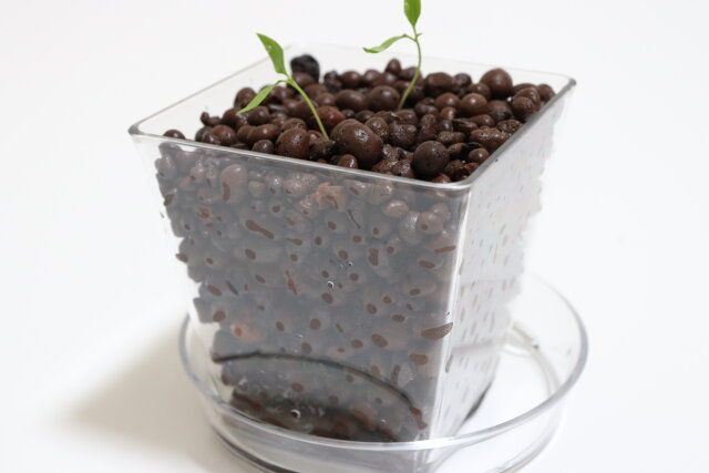 ダイソーのスタイリッシュなクリア植物鉢皿（2個、円形、4号、12cm）とクリア植木鉢（四角、3号、9cm）