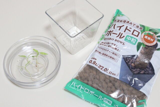 ダイソーのプチプラなクリア植物鉢皿（2個、円形、4号、12cm）とクリア植木鉢（四角、3号、9cm）