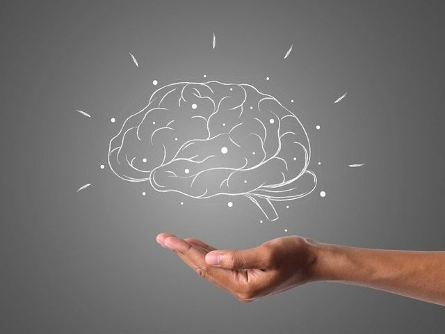 脳イラスト