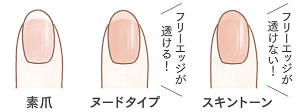 【ヌードタイプ】フリーエッジが透ける！ 【スキントーン】フリーエッジが透けない！