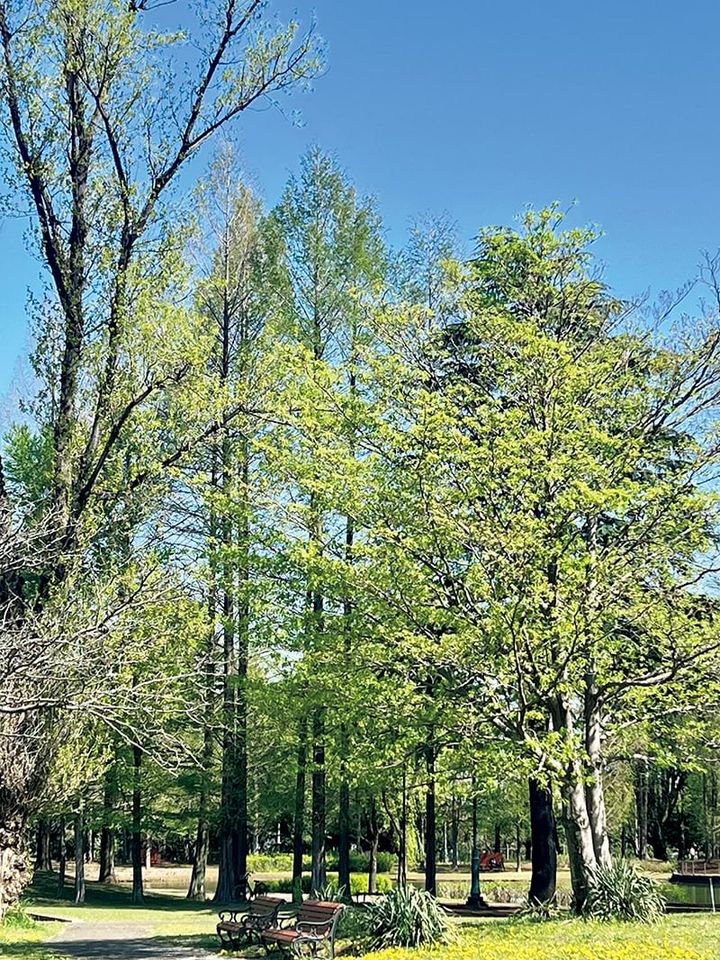 緑に触れてリフレッシュ！