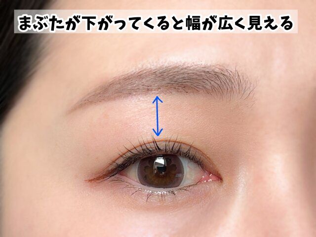 眉は下部分を意識