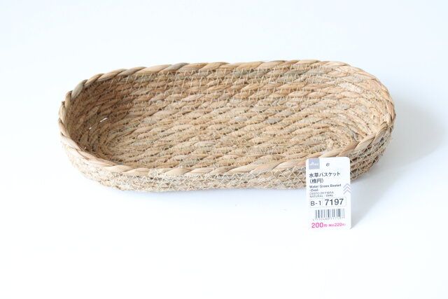 水草バスケット（楕円）