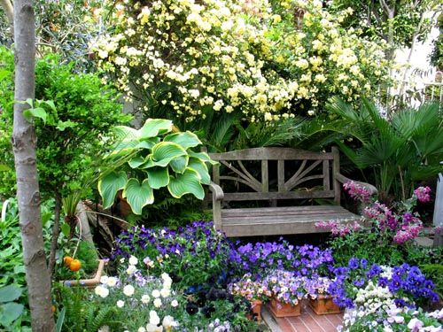 モッコウバラとベンチ