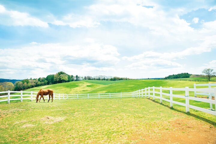 【2025年夏 イヴルルド遙華の12星座占い】～運命が激変する下半期、幸運の扉を開ける鍵とは？～