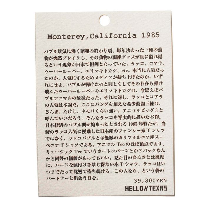 社会派エッセイ