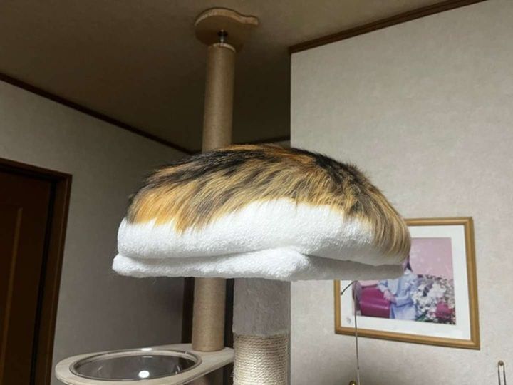 ＠laetitia_roomさんの投稿より