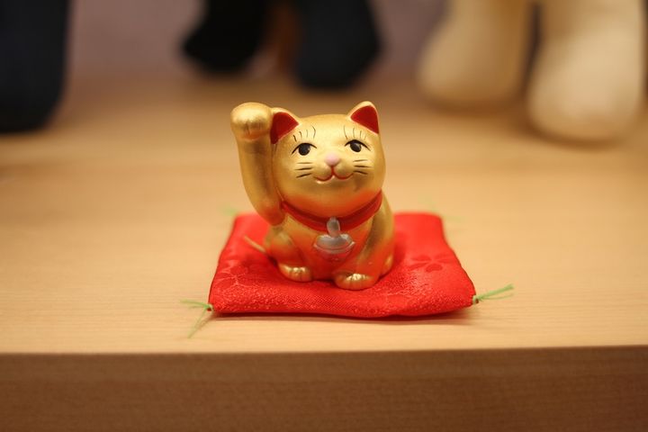 「オミクジ猫用座布団」200円もある