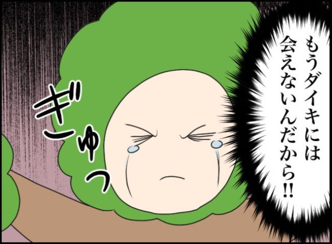 カボチャとシンデレラ／イルカ