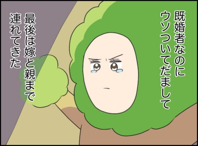 カボチャとシンデレラ／イルカ