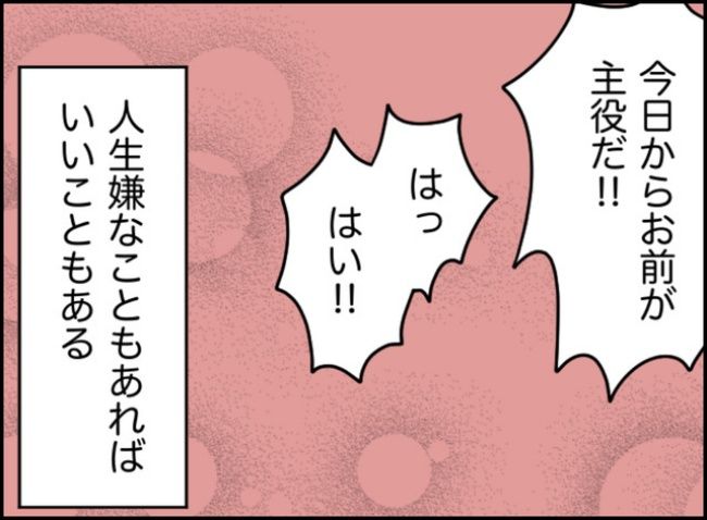 カボチャとシンデレラ／イルカ