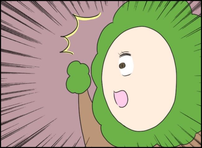 カボチャとシンデレラ／イルカ