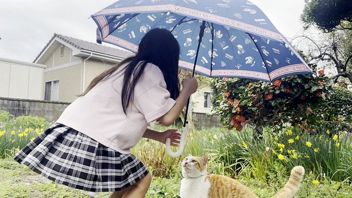 猫に傘を差し出す女の子