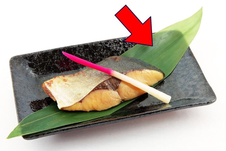 この「葉っぱ」、そういえば何…？