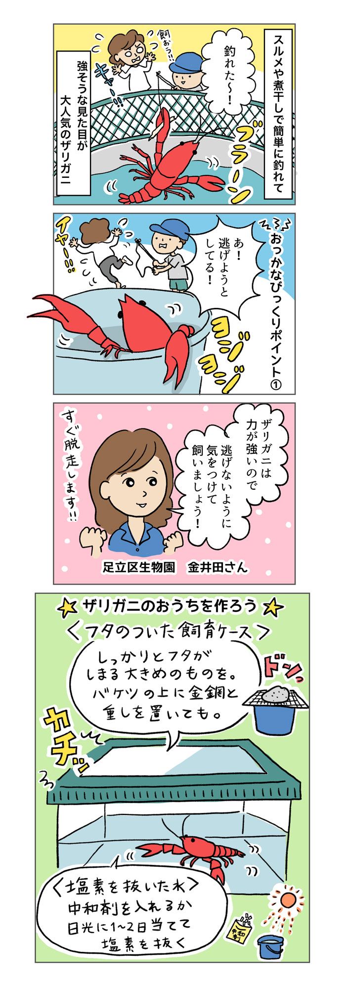 ザリガニが水槽から逃げ出す!? 「苦手ママ」が飼育するときのポイント【マンガでわかる！おっかなびっくり飼育】の画像1