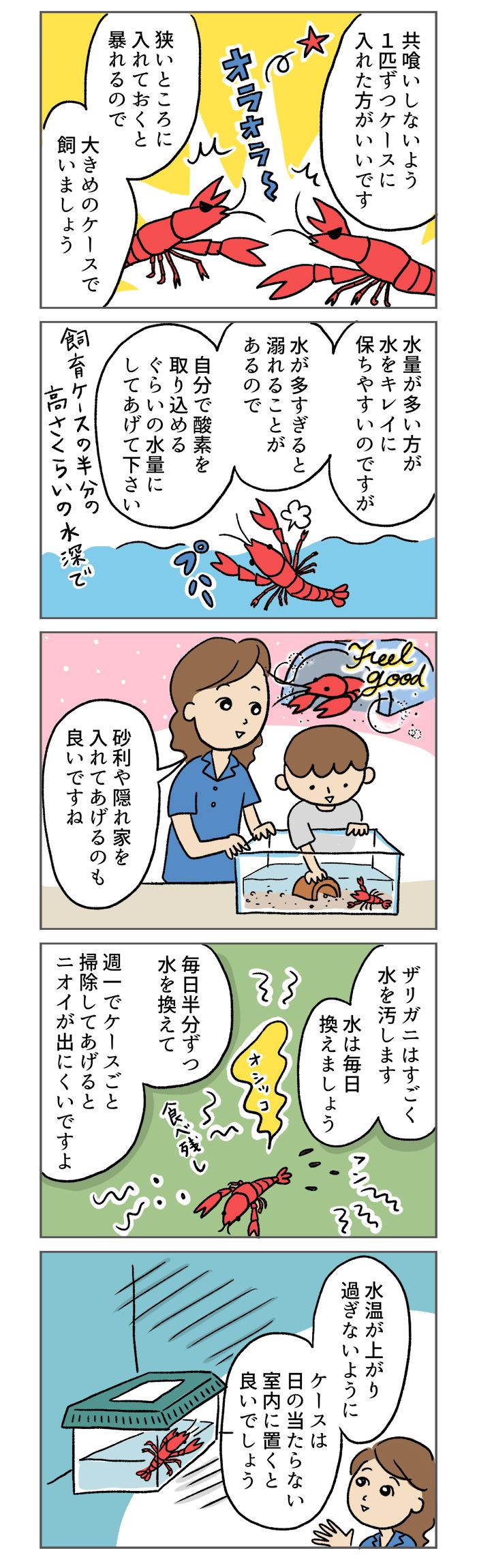 ザリガニが水槽から逃げ出す!? 「苦手ママ」が飼育するときのポイント【マンガでわかる！おっかなびっくり飼育】の画像2