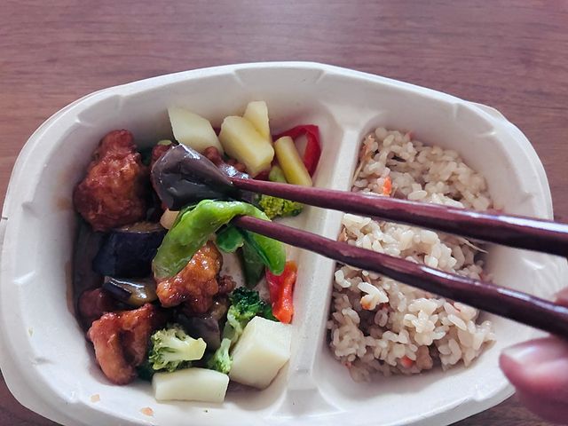 ニップン よくばり御膳 五目ご飯と鶏と野菜の黒酢あん実食レポ②