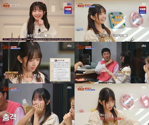 『家を出れば犬天国』