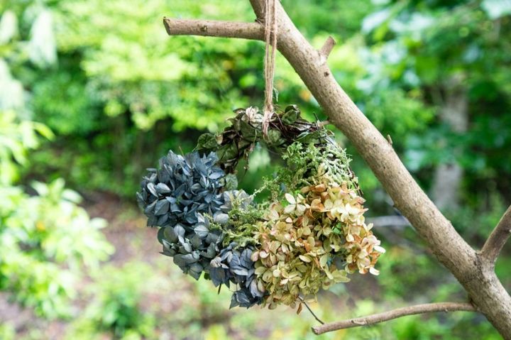  「あじさいドライフラワー」1500円〜。販売場所は受付の隣に立つ、和江さんの自宅隣の工房