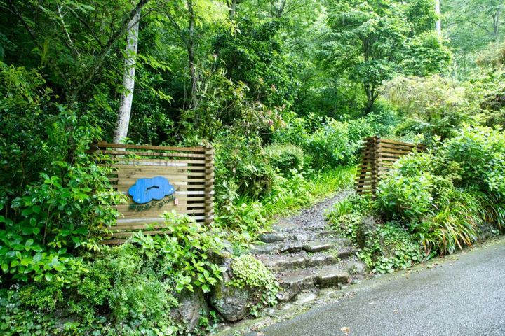 入り口がある沿道にもアジサイが咲く