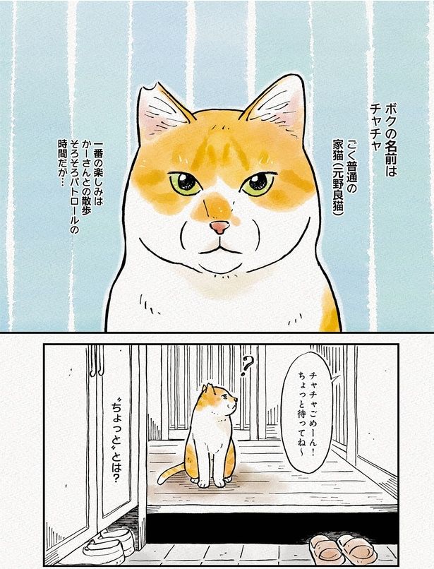 あわてんぼ！めたねこムーニャン （6ページ目の山中恒おすすめ