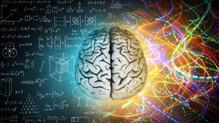 忘れた記憶が「勘」となって私たちを助けている