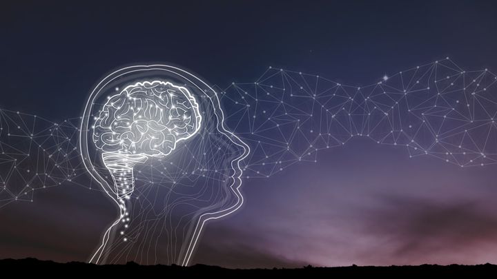 海馬に潜む記憶の亡霊を捕らえた