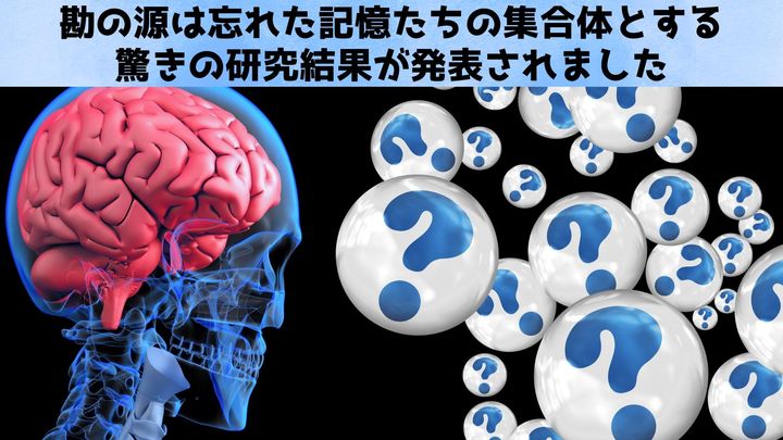 忘れられた記憶はあなたの選択に「勘」という形で影響を与え続ける