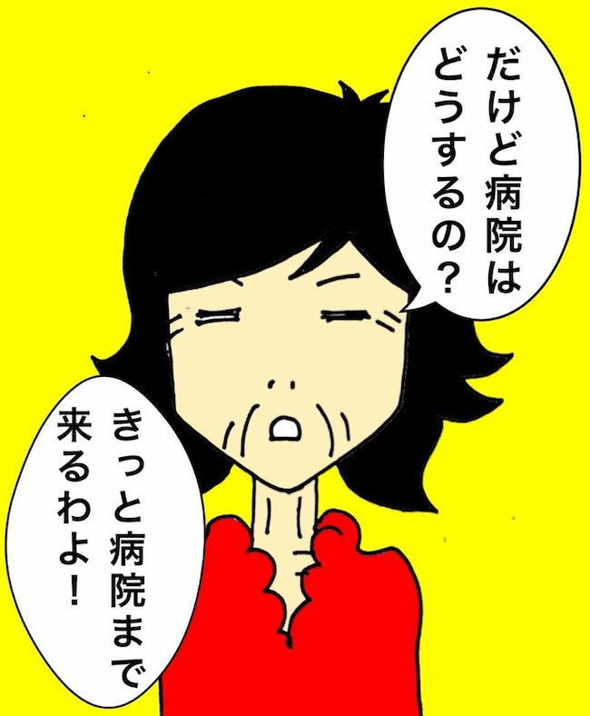 母の認知症介護日記／ワフウフ