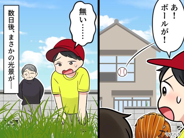 画像: 野球ボールが、よその家の庭に消えた！【草ぼうぼうで近寄りがたい家】だったけど → 数日後、思わぬ光景が