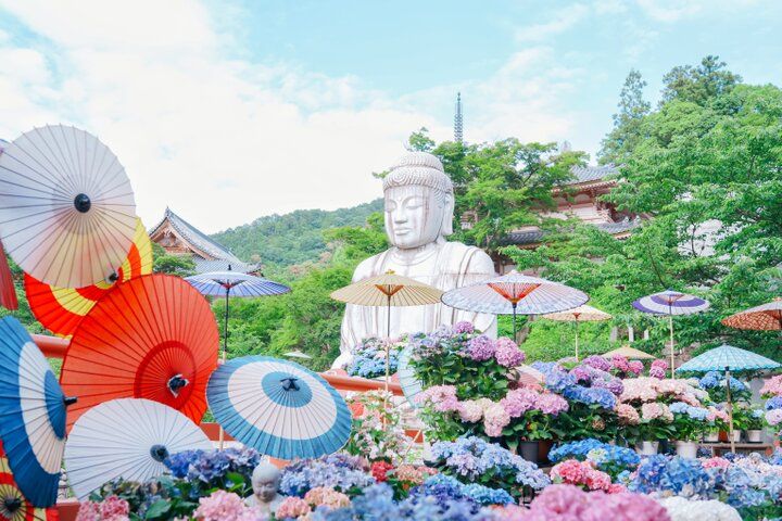 紫陽花と切り絵御朱印に心ときめく。奈良・四ヶ寺をめぐる「あじさゐ回廊」さんぽ
