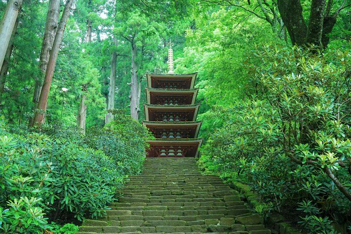 紫陽花と切り絵御朱印に心ときめく。奈良・四ヶ寺をめぐる「あじさゐ回廊」さんぽ