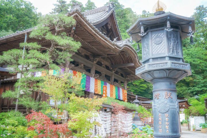 紫陽花と切り絵御朱印に心ときめく。奈良・四ヶ寺をめぐる「あじさゐ回廊」さんぽ