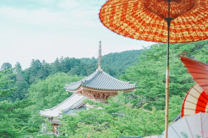 紫陽花と切り絵御朱印に心ときめく。奈良・四ヶ寺をめぐる「あじさゐ回廊」さんぽ