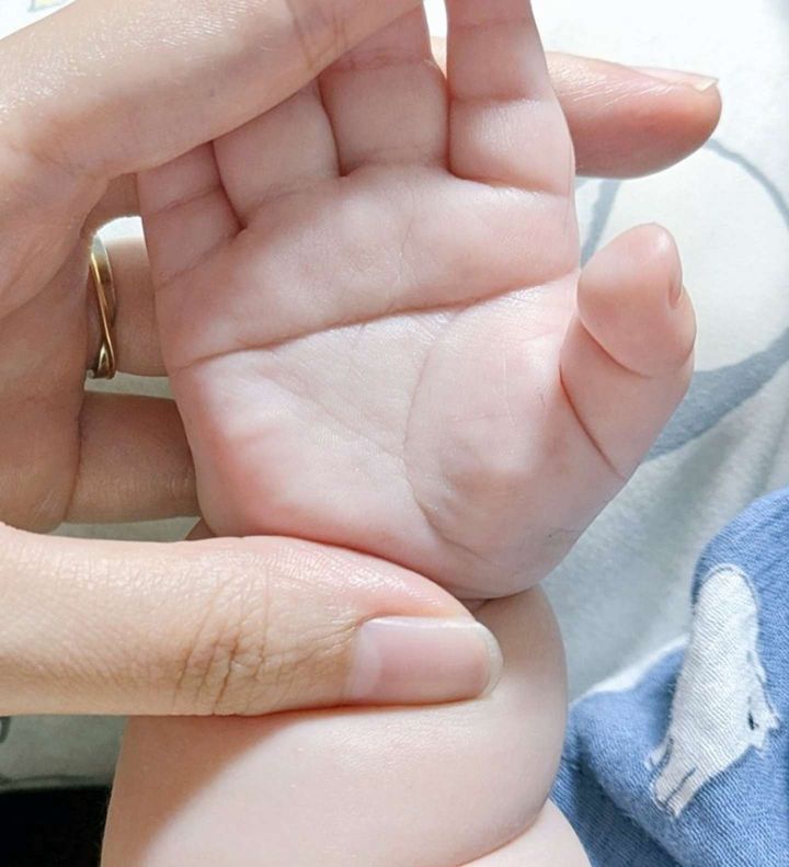 て（画像は最中もなか（＠mona_inuki）さん提供）