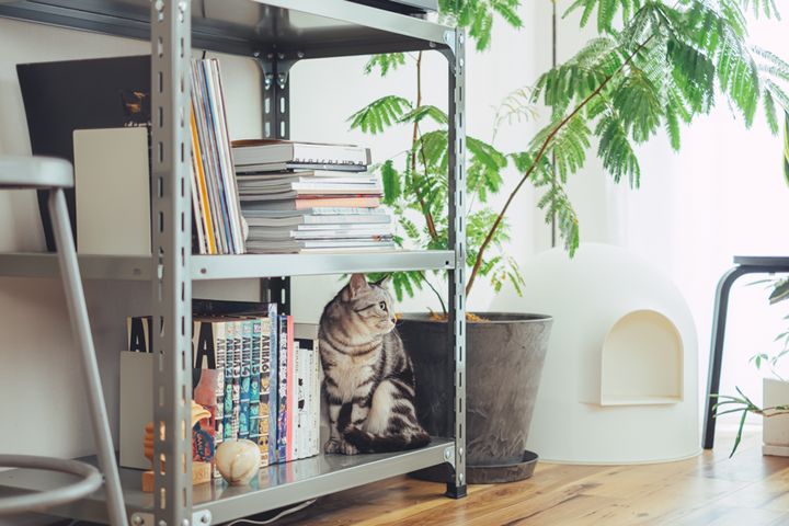 小さな部屋を広く見せる。”余白”を生かしたインテリア3選