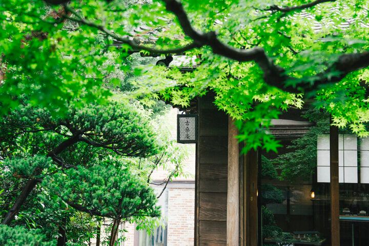 まるで一枚の絵画のような庭園を眺めながらカフェ時間を♪自由が丘の古民家カフェ｢古桑庵｣