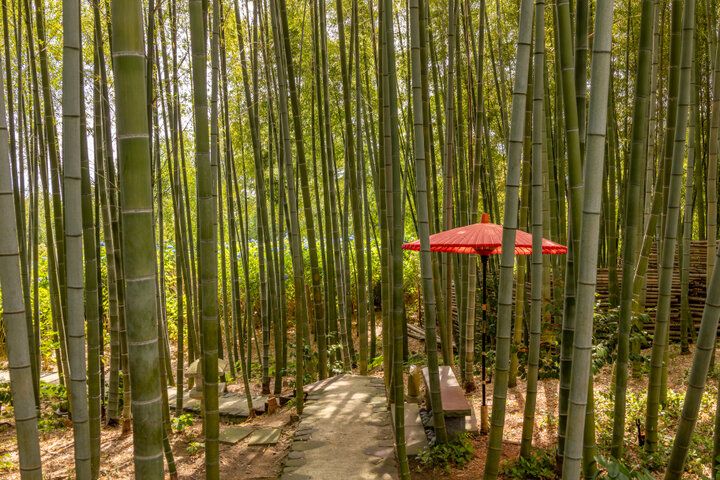 あじさいの御朱印も♪ 一面を青に染める秋田のあじさい寺「雲昌寺」へ