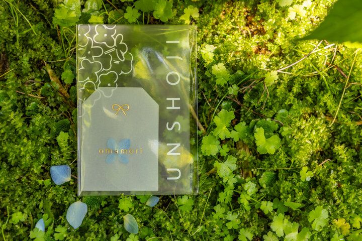 あじさいの御朱印も♪ 一面を青に染める秋田のあじさい寺「雲昌寺」へ