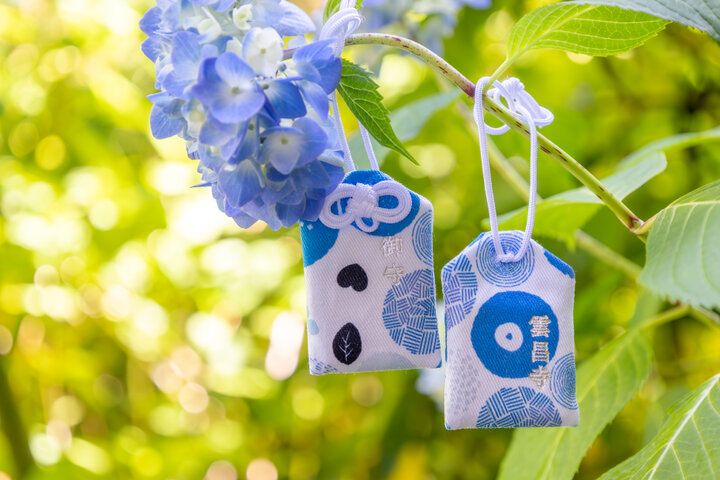 あじさいの御朱印も♪ 一面を青に染める秋田のあじさい寺「雲昌寺」へ