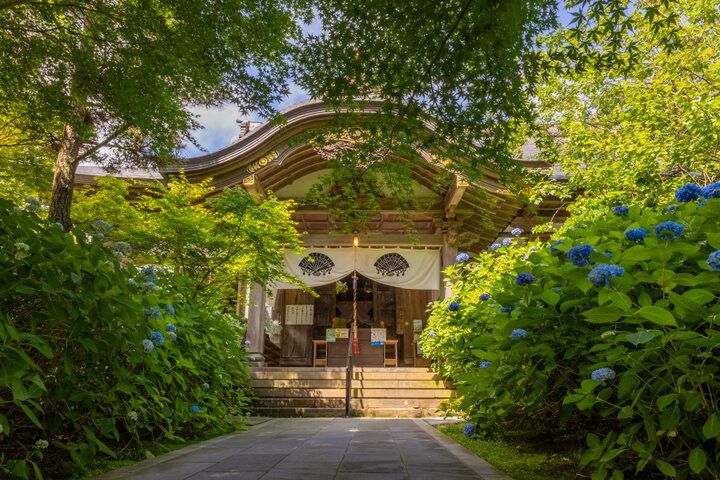 あじさいの御朱印も♪ 一面を青に染める秋田のあじさい寺「雲昌寺」へ